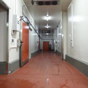 Iga Srl - Catena del freddo