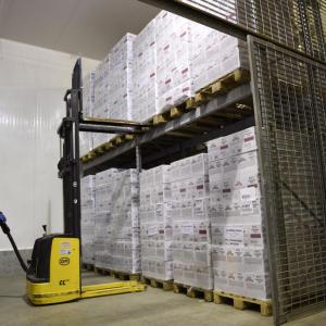 Iga Srl - Catena del freddo