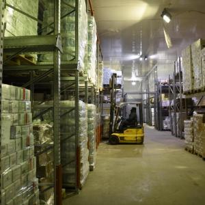 Iga Srl - Catena del freddo